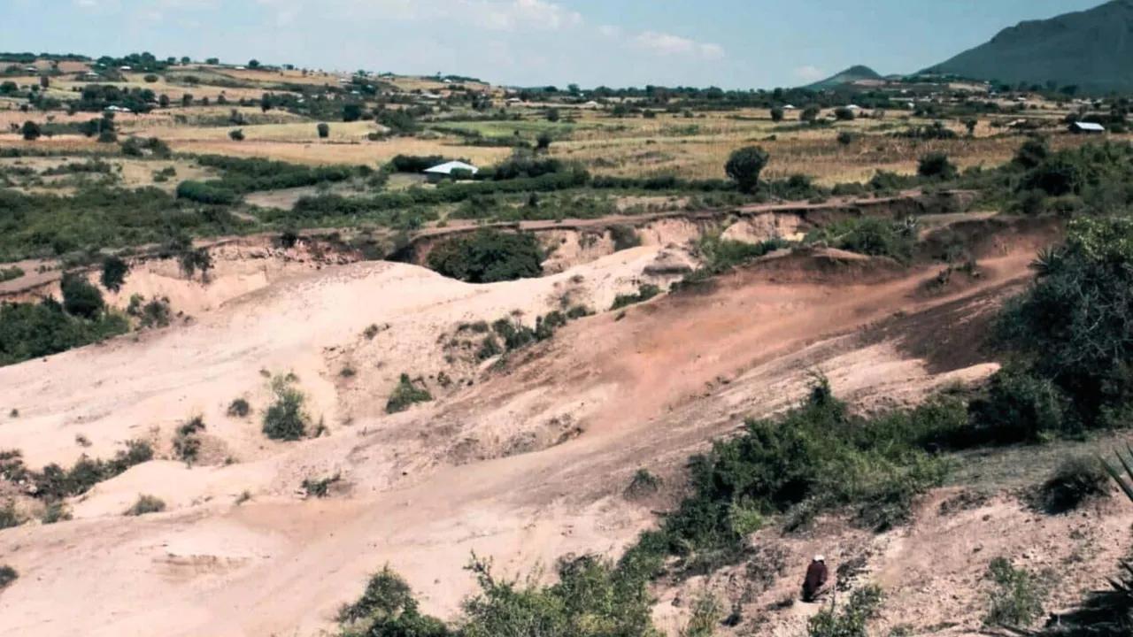 Ancient Tools Found In Kenya Challenge Human Ancestor Assumptions Image