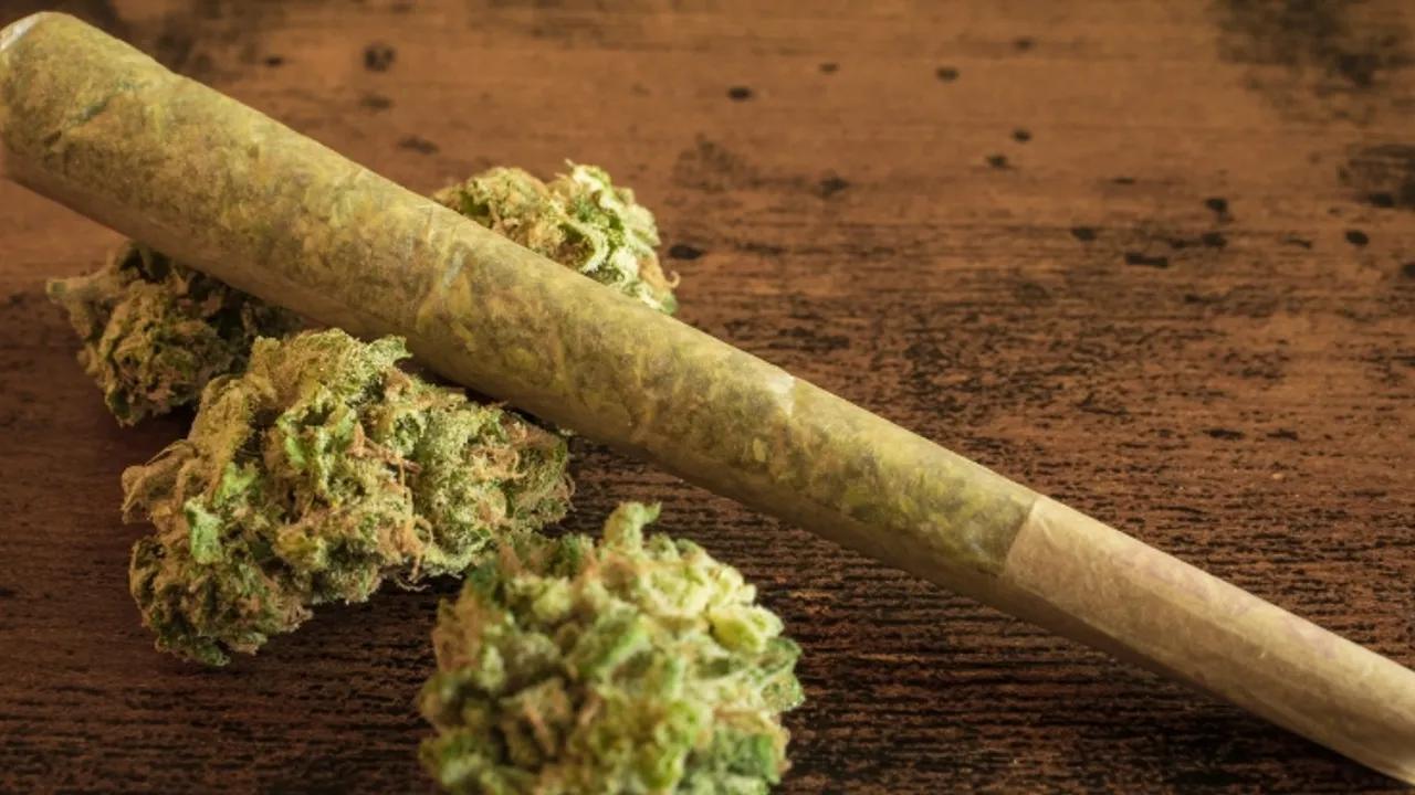 Study Links Cannabis Use To Epigenetic Changes Image