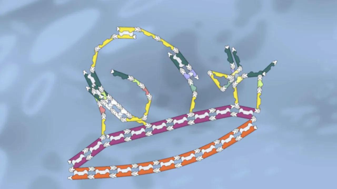 Citizen Science Games: Engage Your Brain In Cancer Research Image