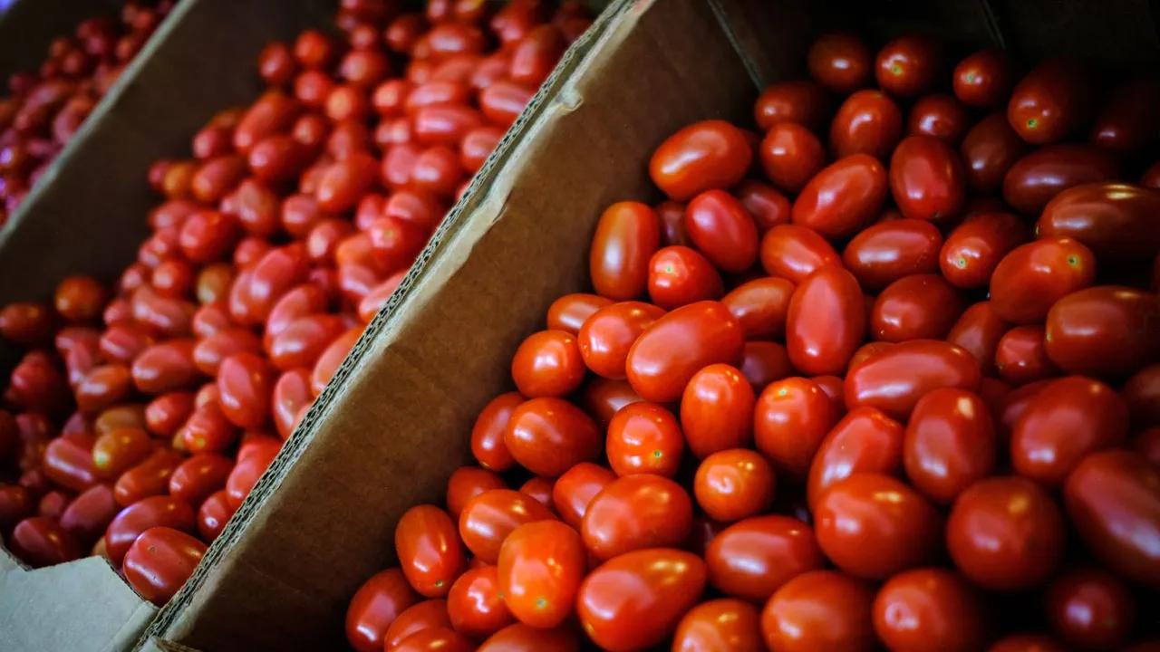 U.s. Tomato Prices Set To Rise Due To New Mexico Tariff Image