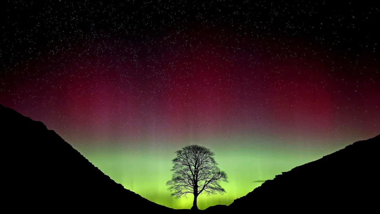 Vandals Sentenced For Felling Iconic Sycamore Gap Tree Image