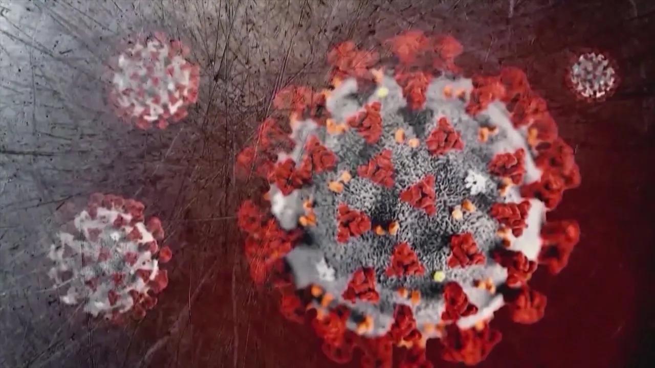 Covid-19 Cases Rise In 25 U.s. States, Cdc Reports Image