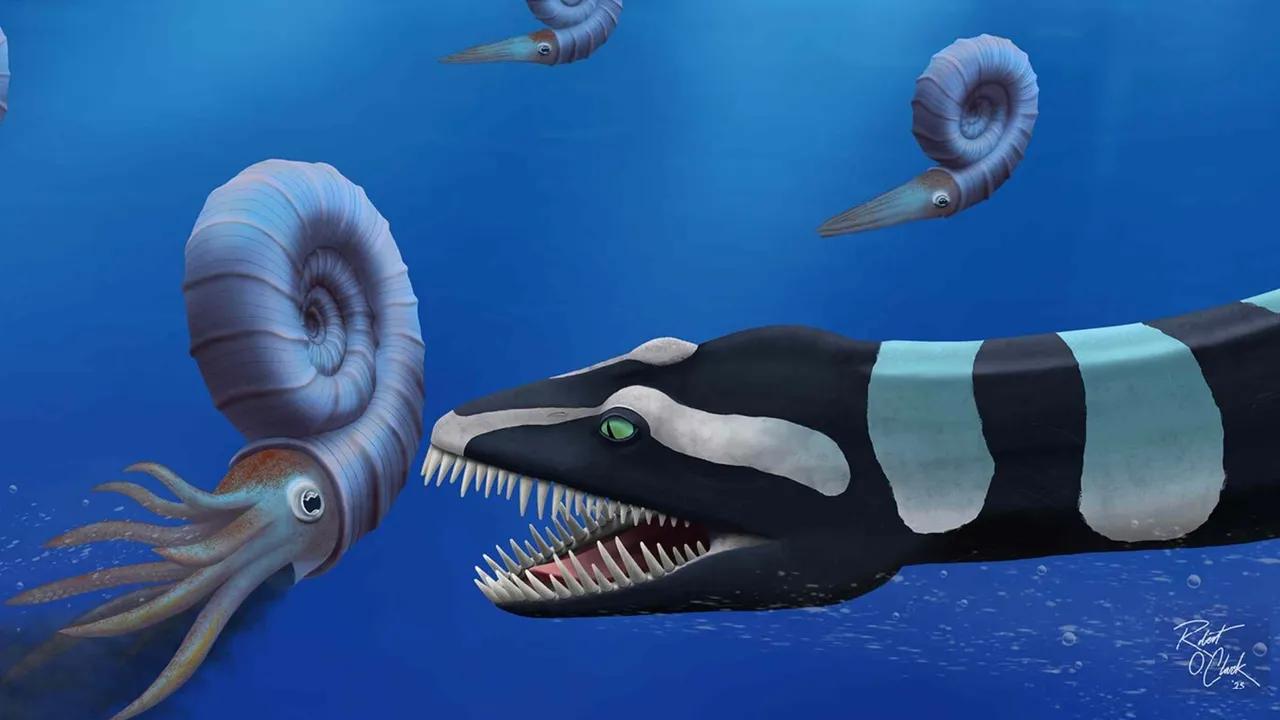 Newly Discovered Marine Reptile Traskasaura Sandrae Unveiled Image