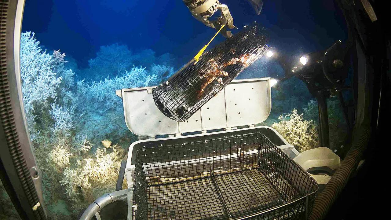 Surprising Discovery Of Radioactive Beryllium In Pacific Ocean Sediments Image