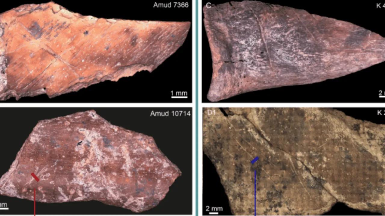 Neanderthal Dining Habits: Comparing Kebara And Amud Image