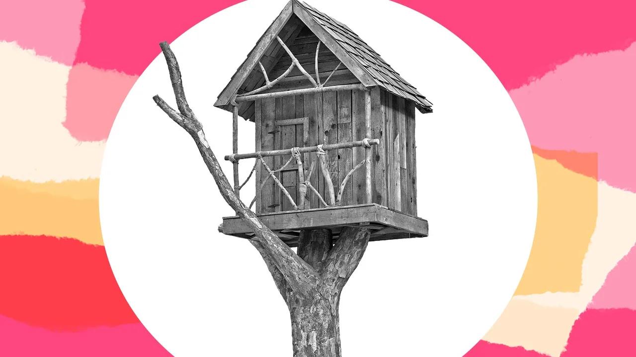 Debate Over Building A Treehouse Sparks Parental Concerns Image