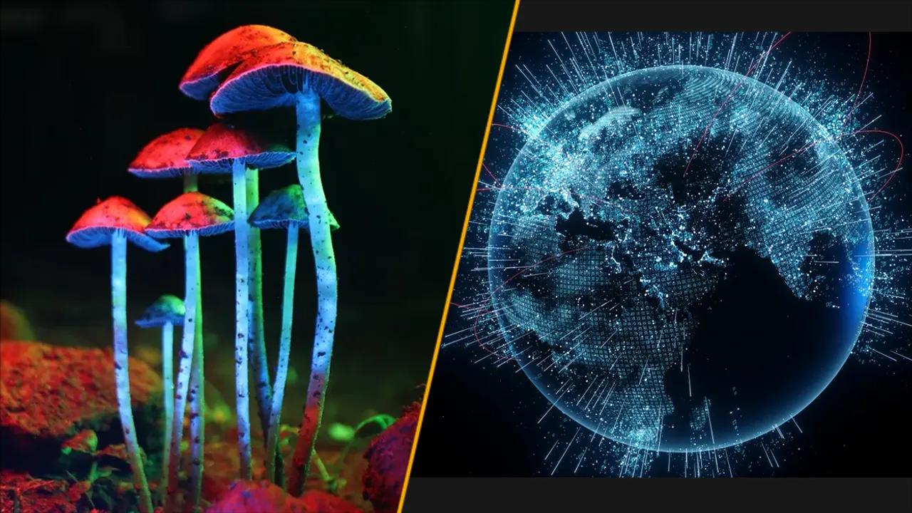 Breakthroughs In Anti-aging And Internet Speeds Highlight Science News Image