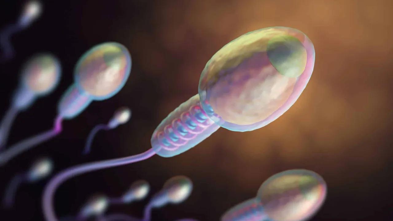 Sperm Cells Challenge Newton's Third Law In Viscous Fluids Image
