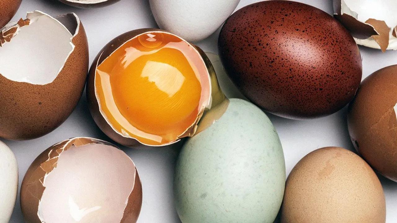 Eating Eggs Weekly May Reduce Alzheimer's Risk, Study Suggests Image