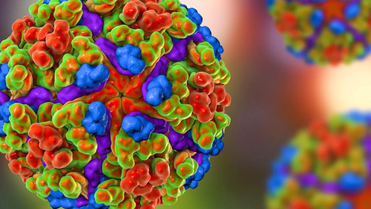 Who Warns Of Global Chikungunya Virus Epidemic Risk Image