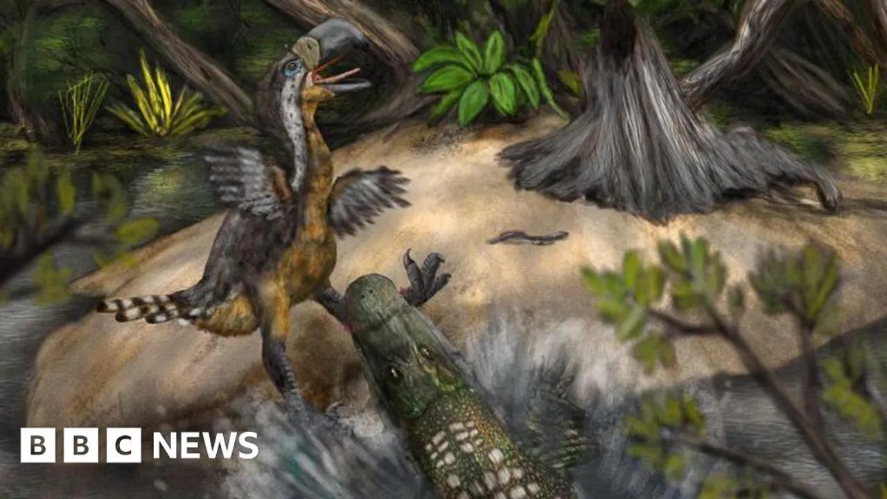 Ancient Terror Bird Likely Killed By Reptile 13 Million Years Ago Image