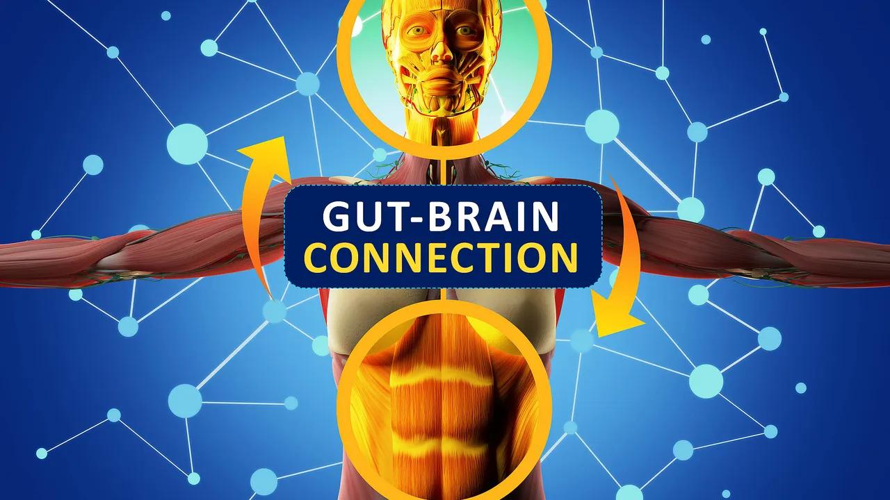 Discovery Of 'sixth Sense' Reveals Gut-brain Connection In Appetite Control Image