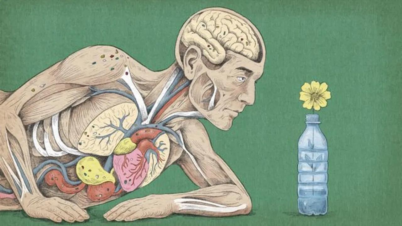 How Microplastics In Our Bodies Impact Health Image