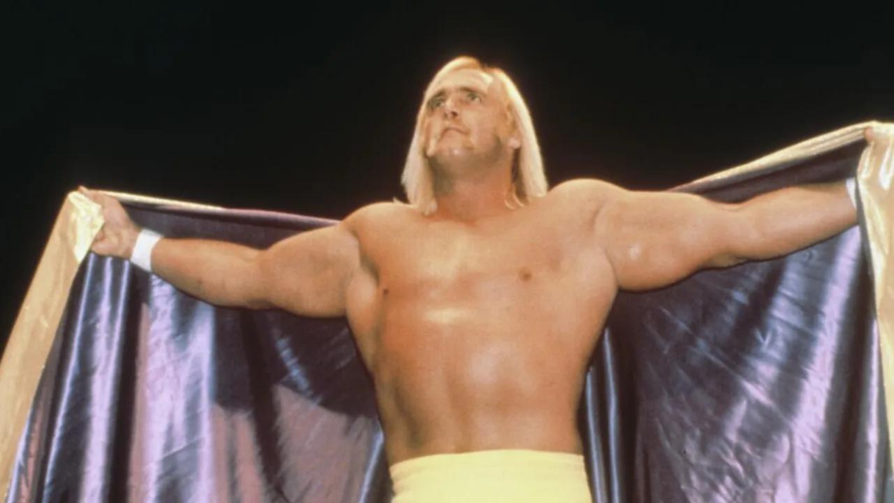 Hulk Hogan's Legacy: From Wrestling Icon To Controversial Figure Image