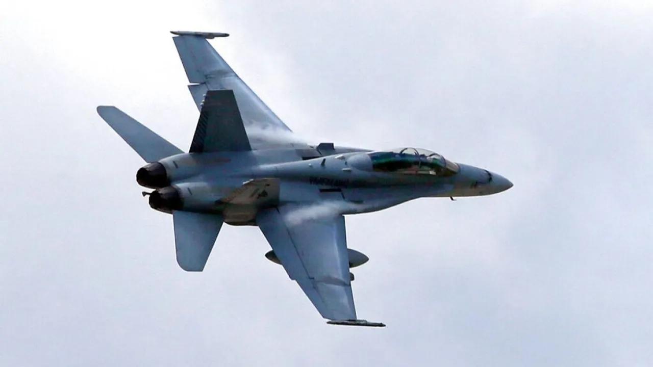 Birds Nearly Cause Spanish F-18 Crash During Airshow Image