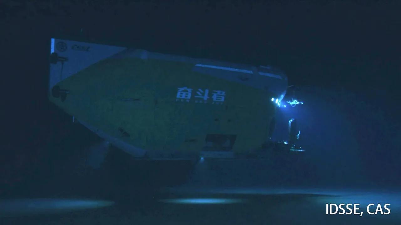 Submersible Uncovers Thriving Sea Life In Deep Ocean Trenches Image