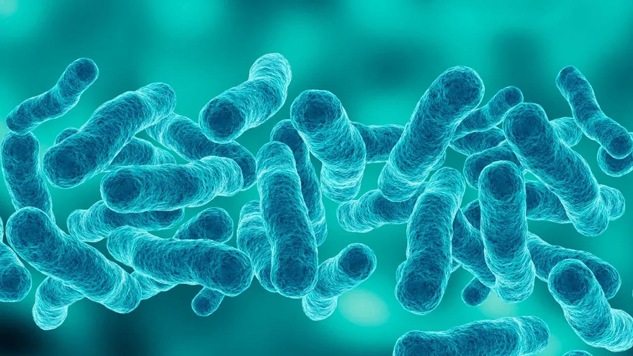 Legionnaires' Disease Outbreak In Harlem: 1 Dead, Over 20 Sick Image