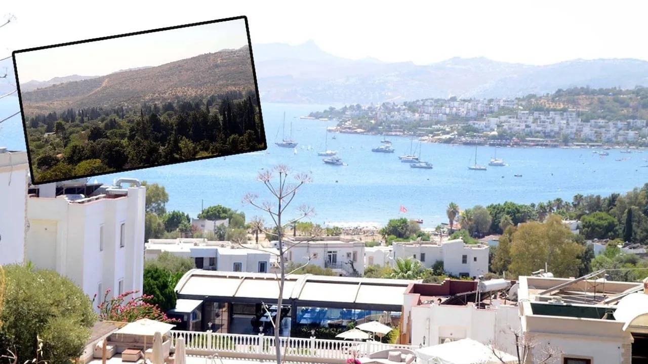 Bodrum'da Tartışmalı Arazi Ihalesi Yeniden Gündemde Image