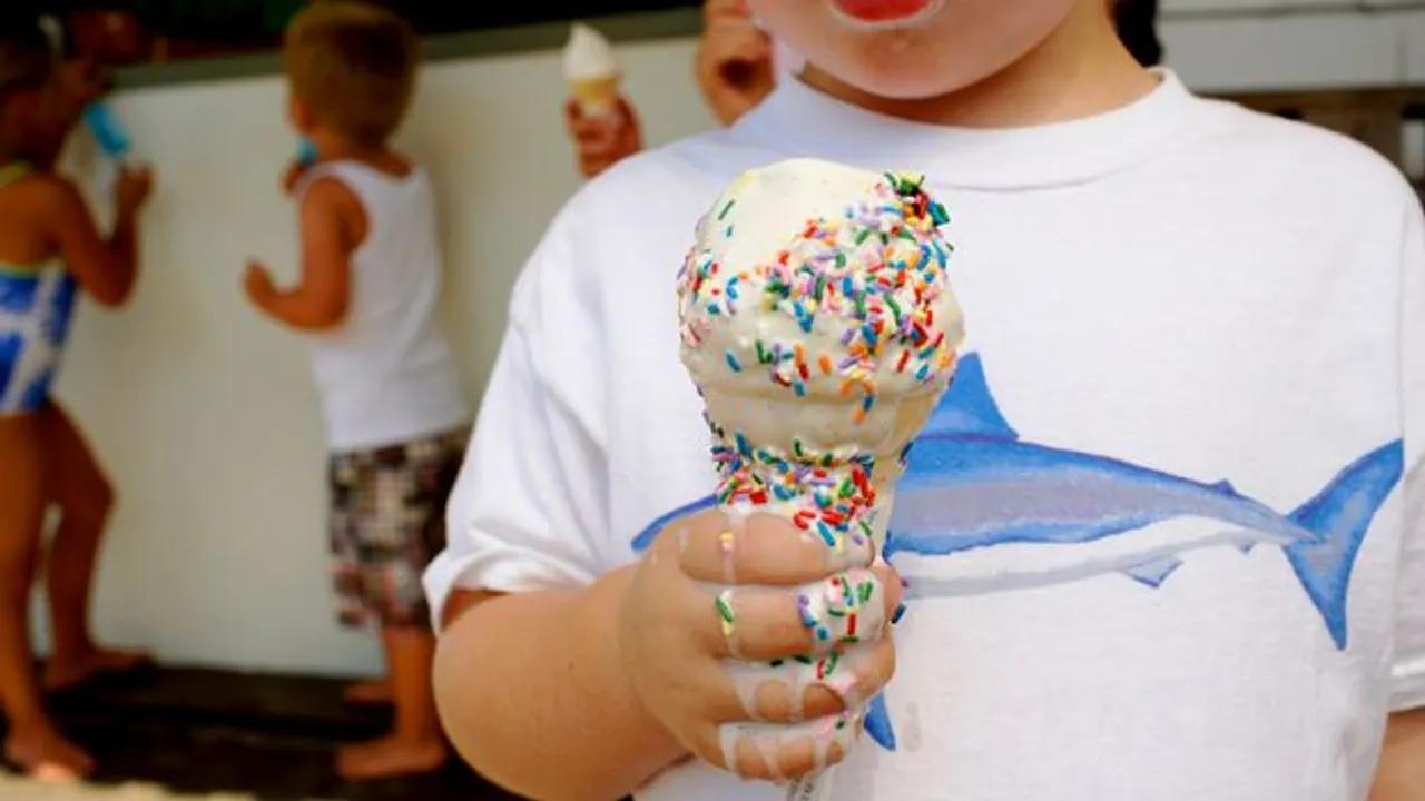 Exploring the Science Behind Melt-Resistant Ice Cream Image