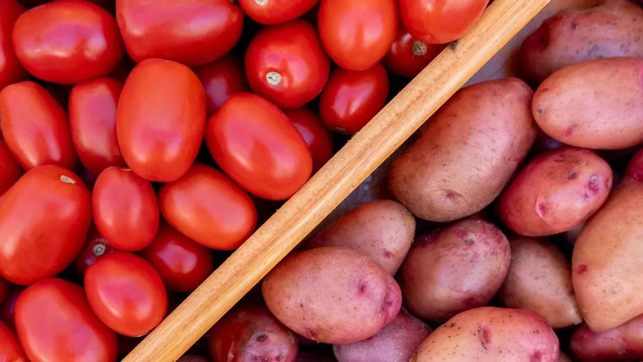 The Unexpected Origins of the Potato Revealed by Science Image