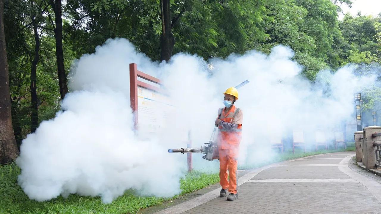 Chikungunya Travel Alerts Issued Due to Outbreaks Image