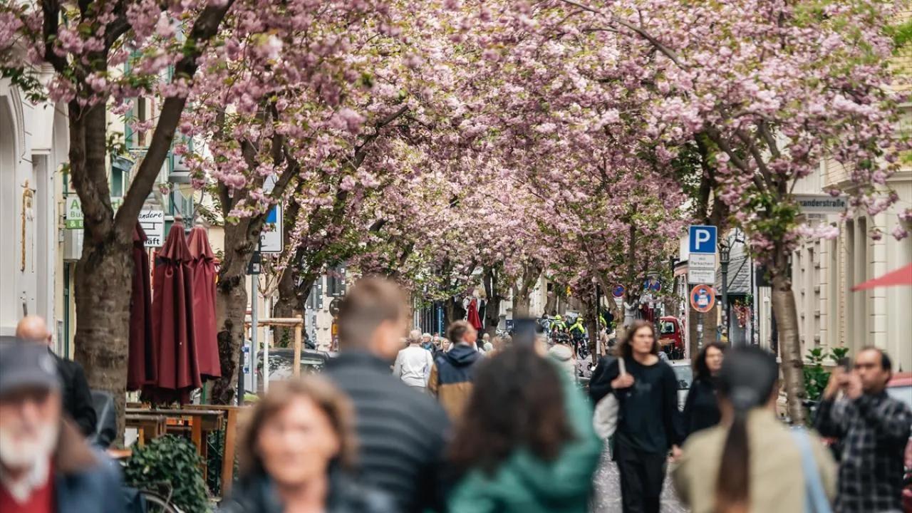 Almanya’da Genç Nüfus Göçle Şekilleniyor: Demografik Düşüşün Etkileri Image