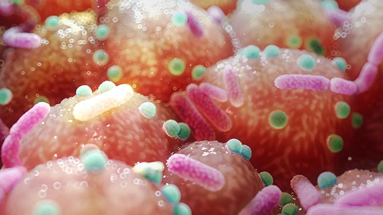 Gut Bacteria's Role in Parkinson's Disease Suggests Simple B Vitamin Treatment Image