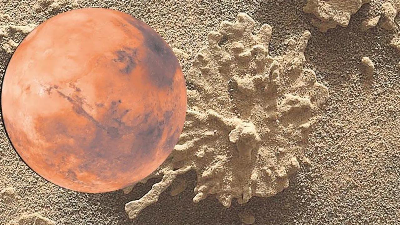 Mars'ta Antik Yaşam Belirtileri: NASA'nın Curiosity Keşfi Image