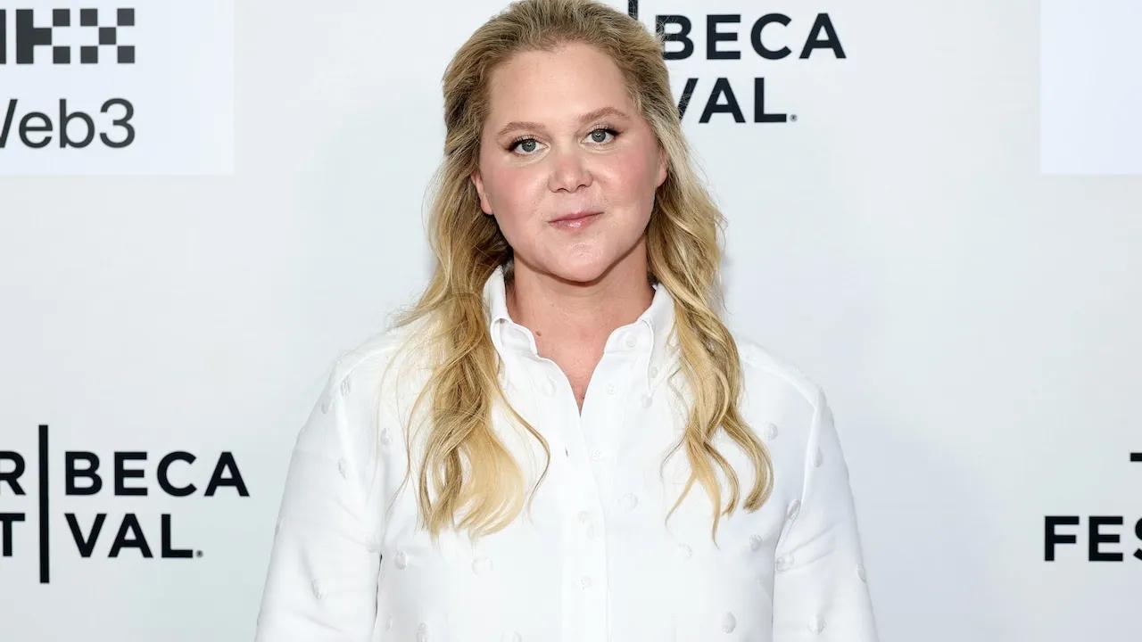 Amy Schumer Shares Update After Back Surgery Image