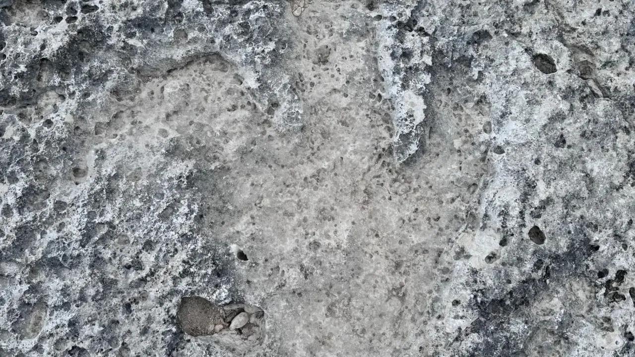 115-Million-Year-Old Dinosaur Footprints Uncovered in Texas Image