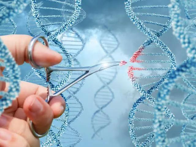 Crispr Teknolojisi: Dna Düzenlemede Devrim Image
