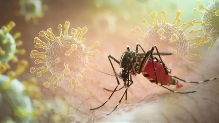Chikungunya Virus Spreads Across China: What You Need To Know Image