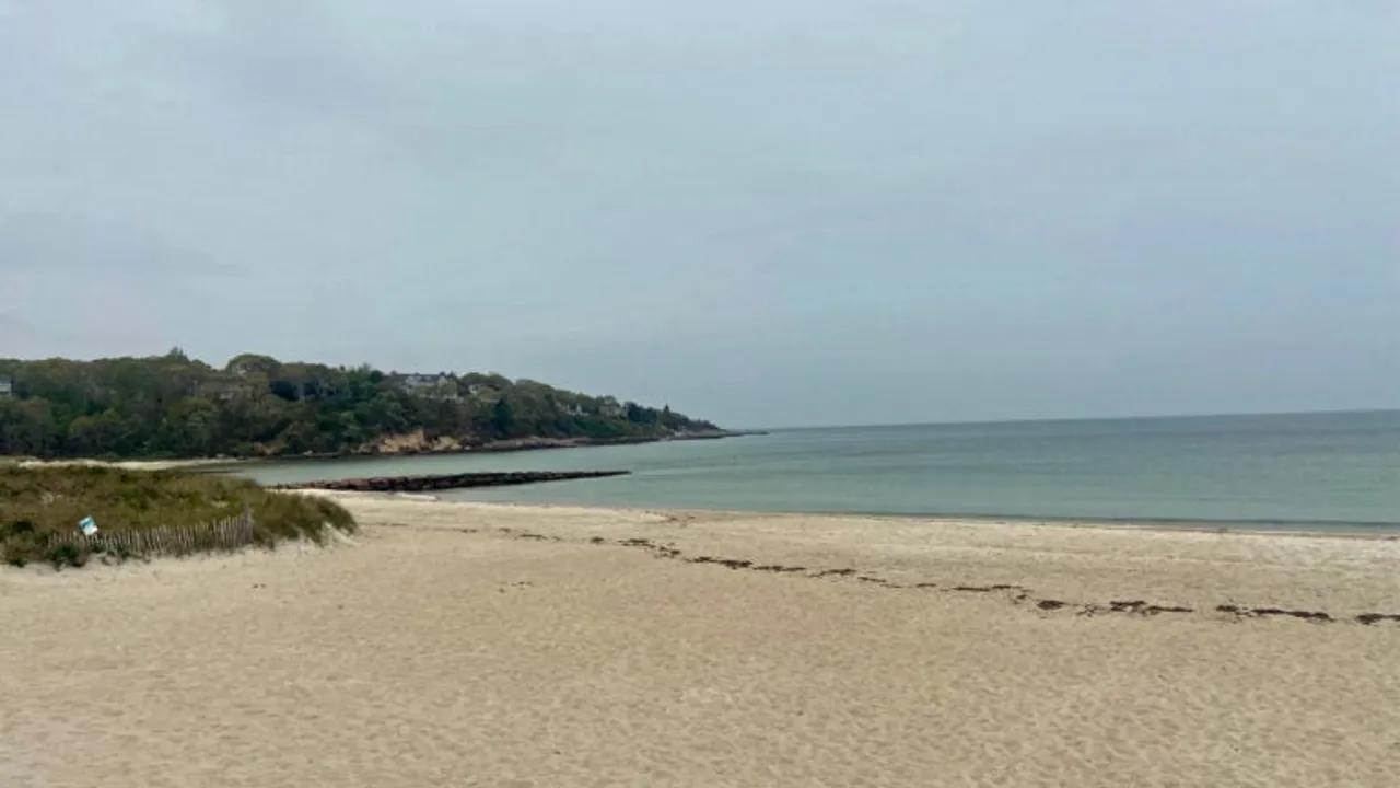 Rare Bacterial Infection Reported in Cape Cod Swimmer Image