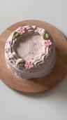 Strawberry Puree Cake